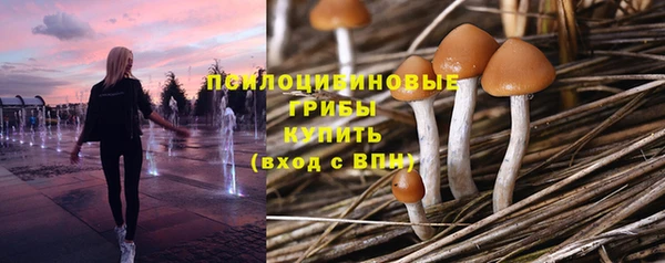 метадон Абдулино