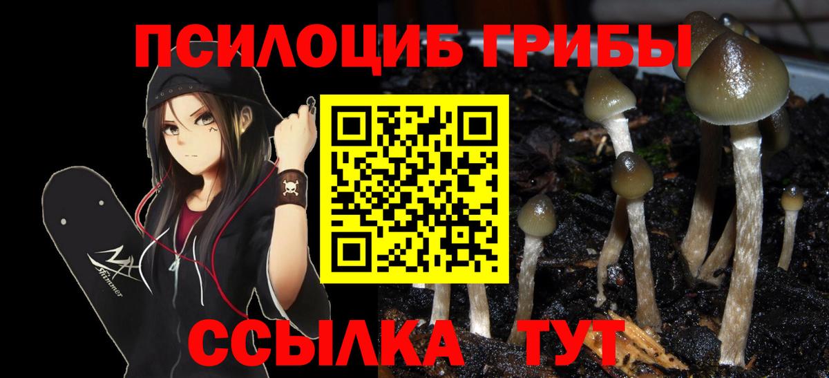 Галлюциногенные грибы ЛСД  Вход с VPN  Донецк  Галлюциногенные грибы прущие грибы 